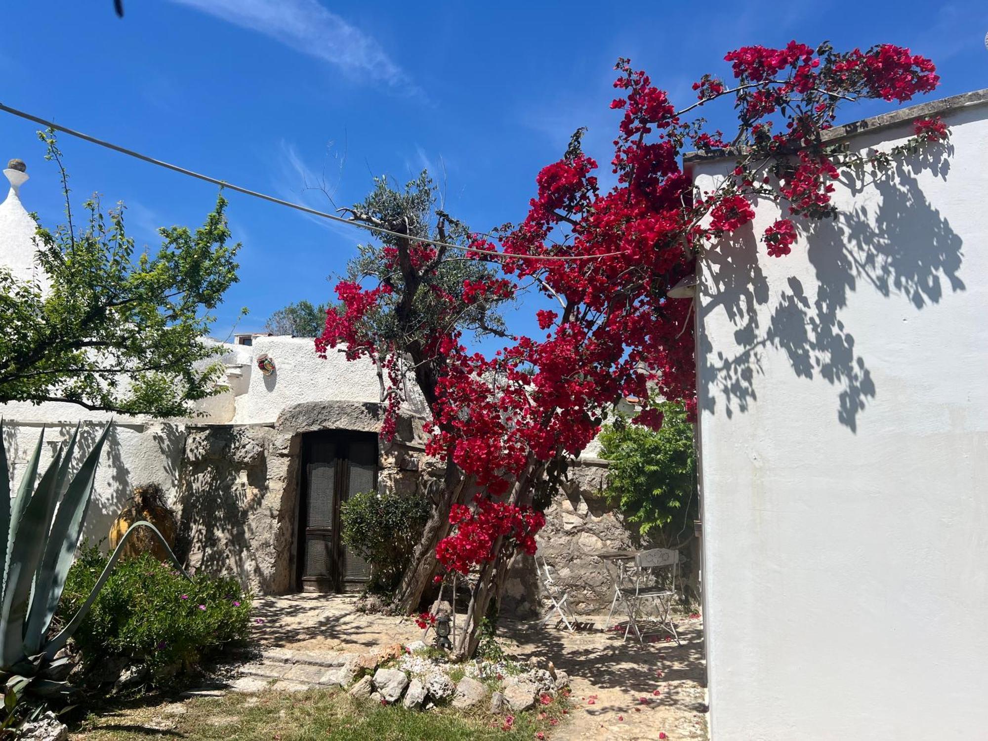 Pietre Bianche Guest House Carovigno Exterior foto